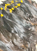 Qu'est ce que c'est le raw hair ?
